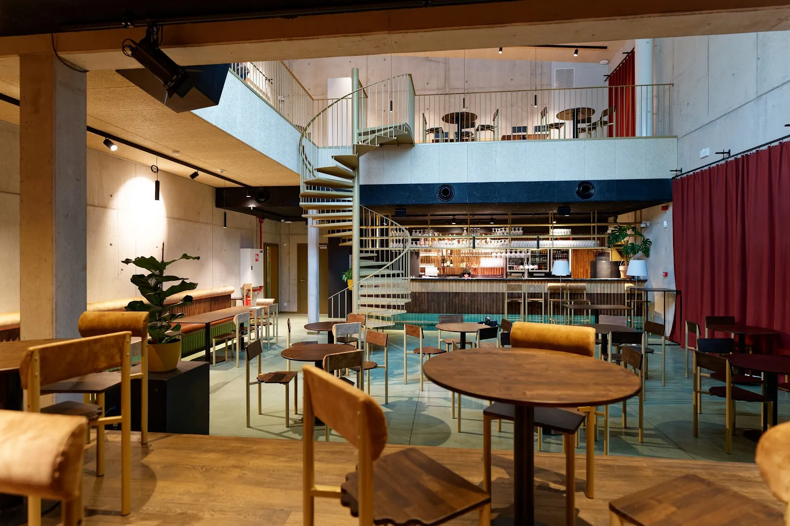 Cactus Cafe