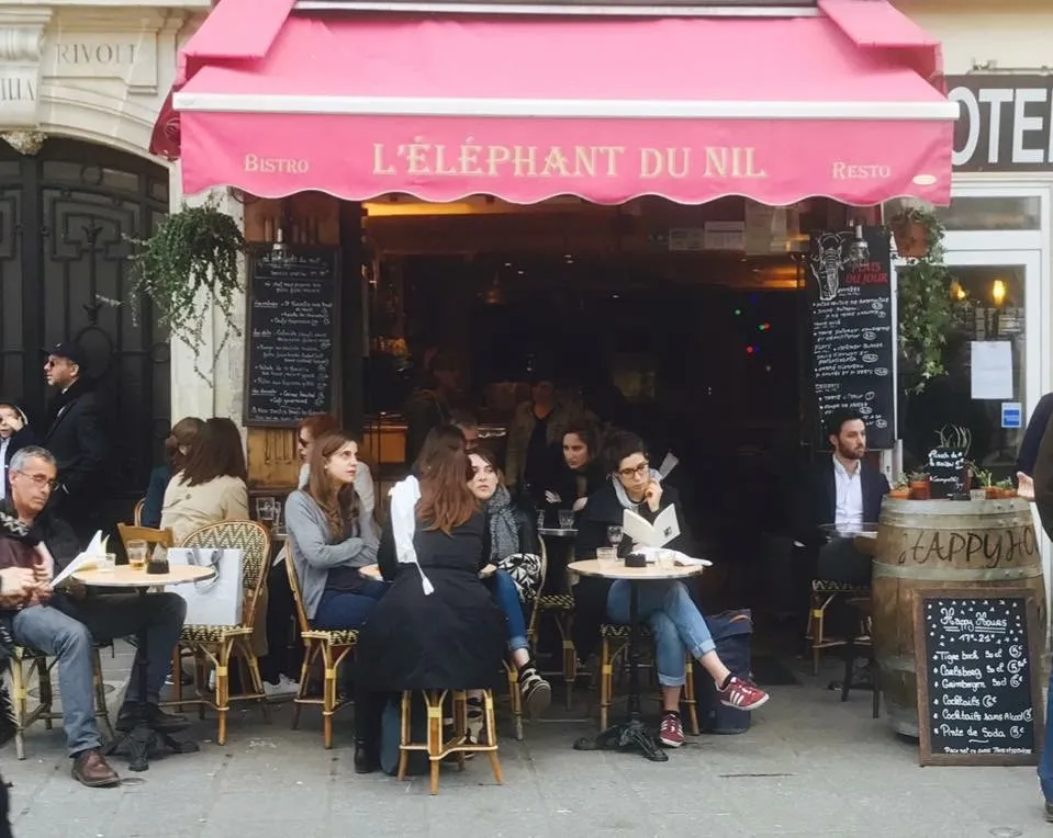 L Elephant Du Nil 2