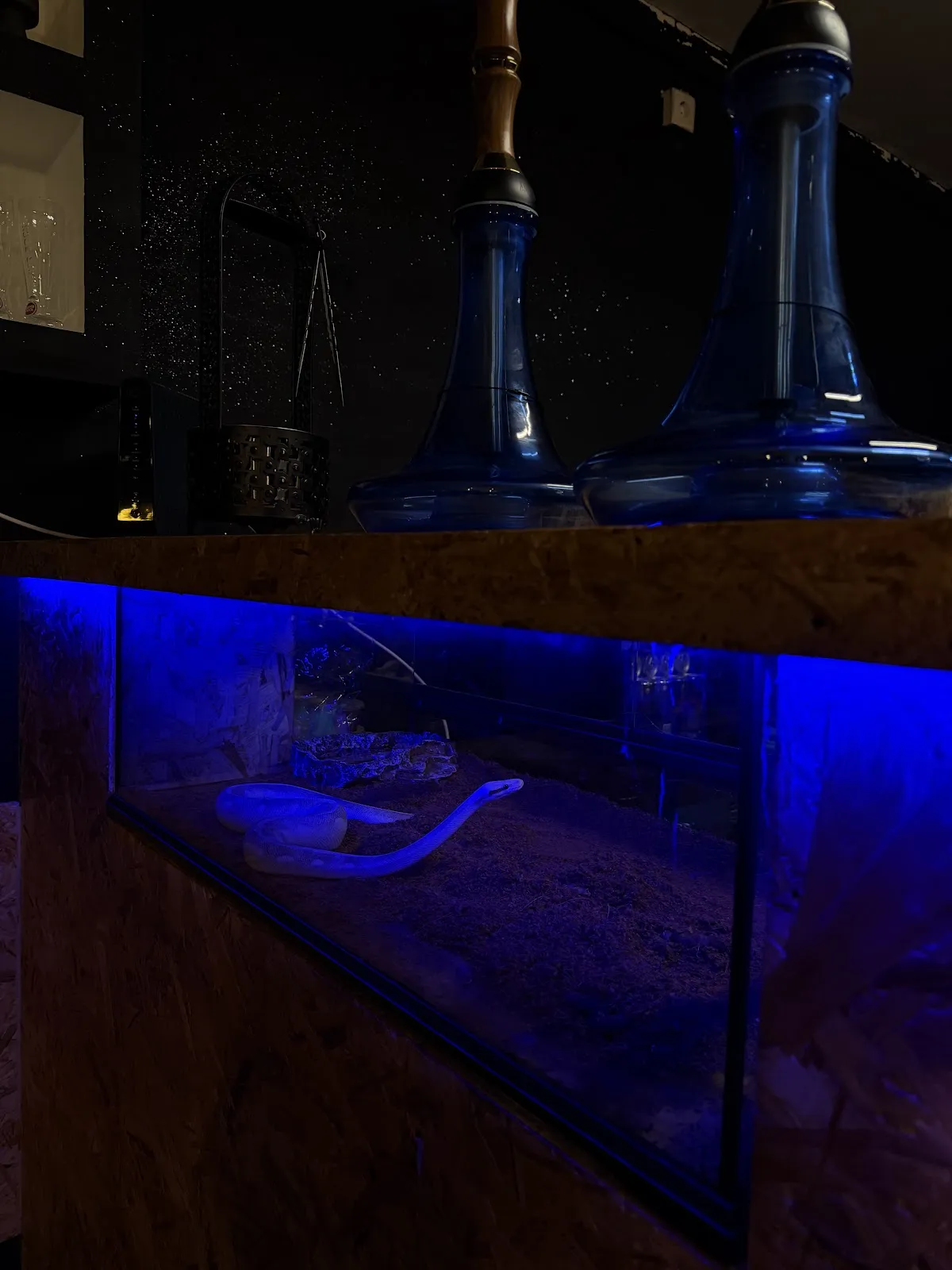 MJ Lounge Bar