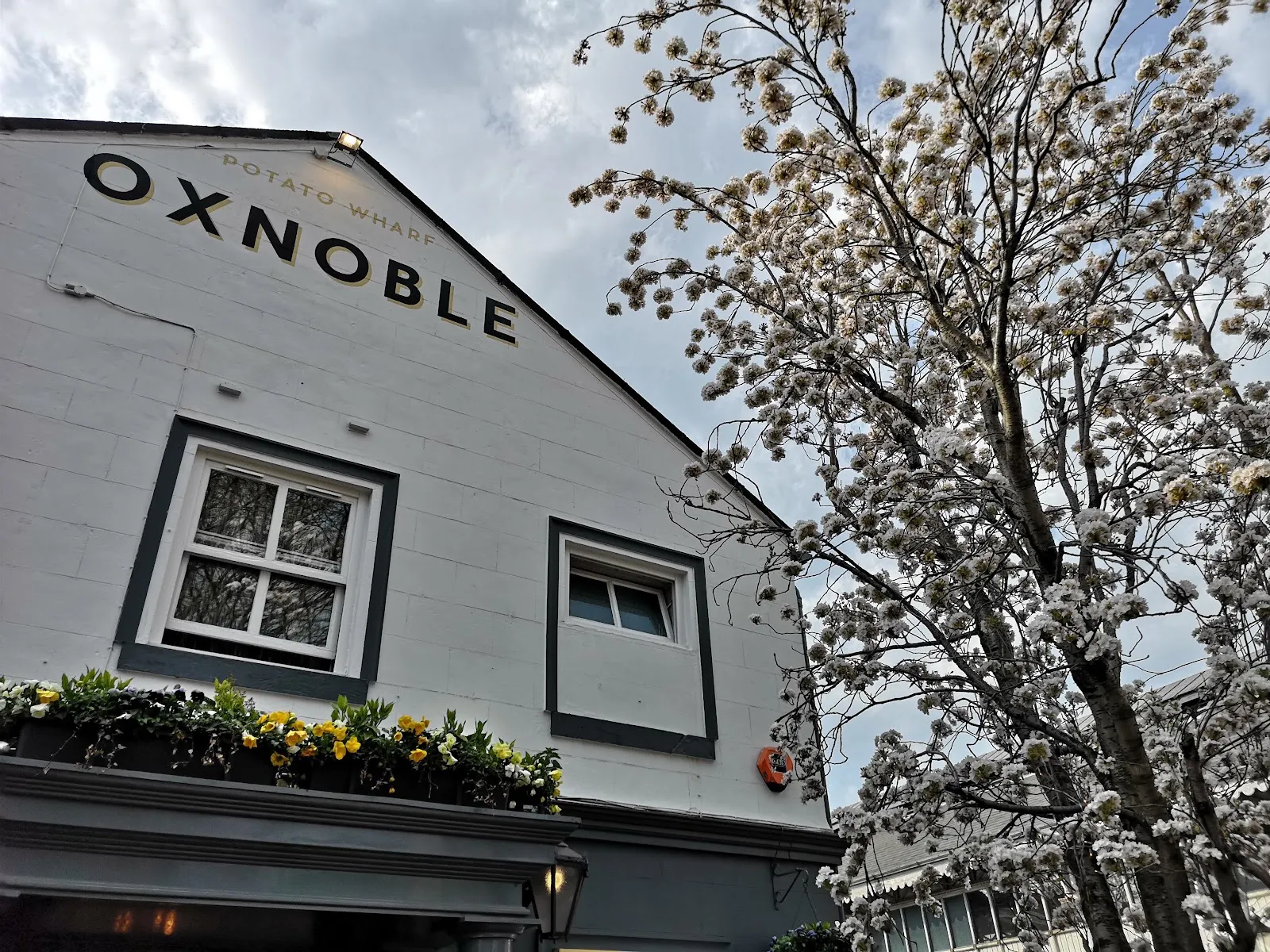 Oxnoble Manchester