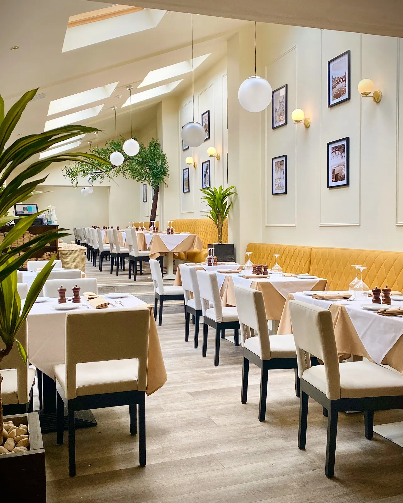 Stocco - Authentic Italian Restaurant and Bar