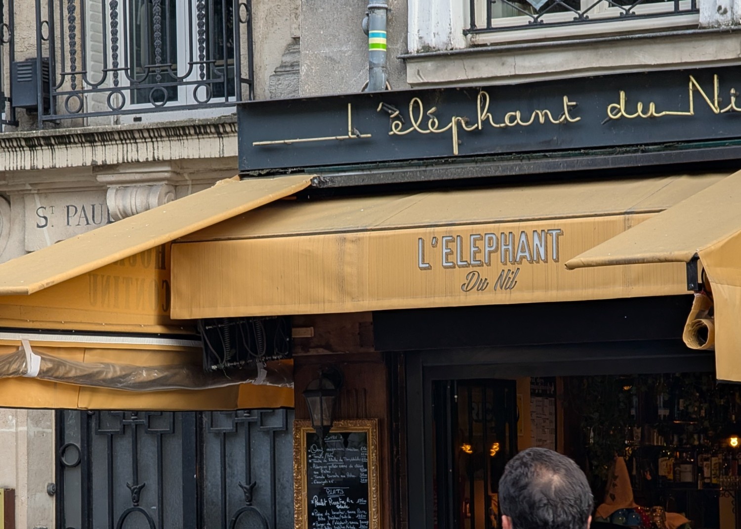L Elephant Du Nil
