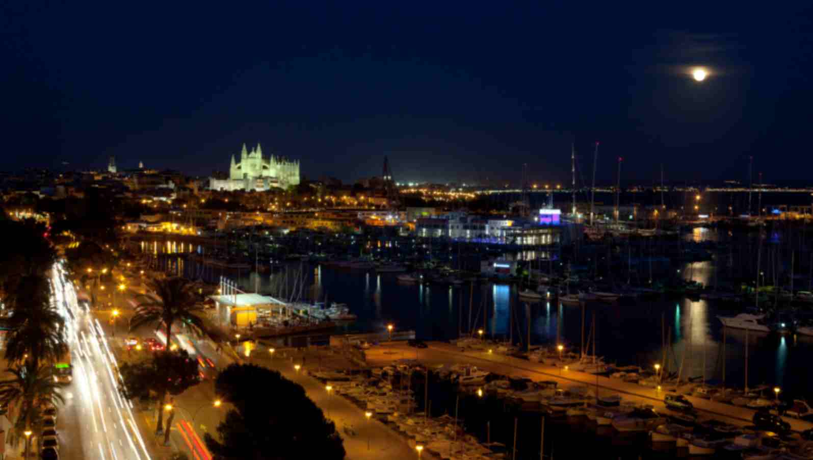 Palma